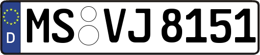 MS-VJ8151