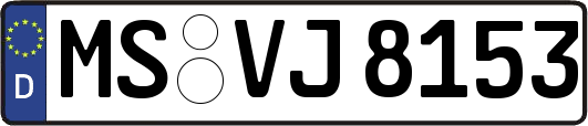 MS-VJ8153