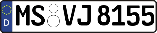 MS-VJ8155