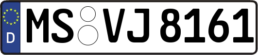 MS-VJ8161
