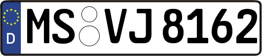 MS-VJ8162