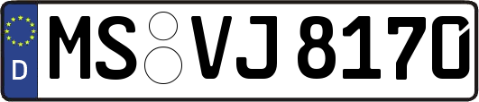 MS-VJ8170