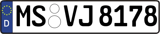MS-VJ8178