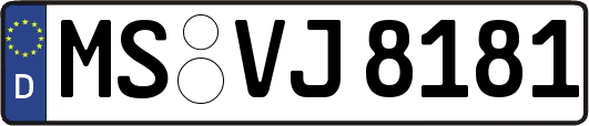 MS-VJ8181