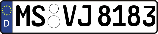 MS-VJ8183