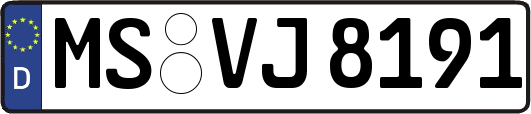 MS-VJ8191