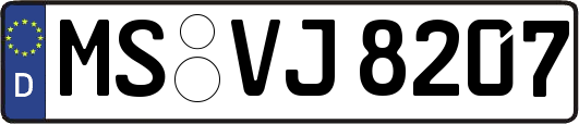 MS-VJ8207