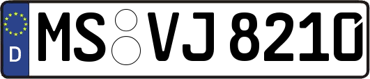 MS-VJ8210
