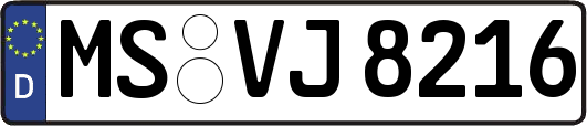 MS-VJ8216