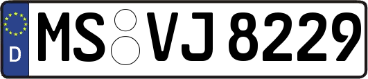 MS-VJ8229