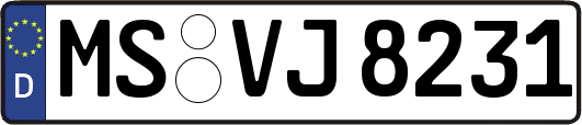 MS-VJ8231