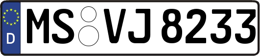 MS-VJ8233