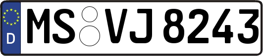 MS-VJ8243