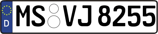 MS-VJ8255