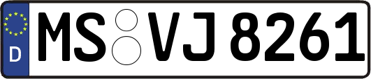 MS-VJ8261