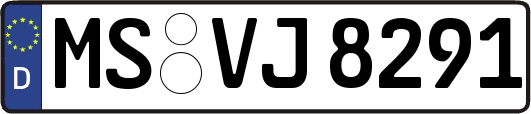 MS-VJ8291