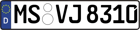MS-VJ8310