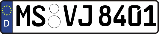 MS-VJ8401