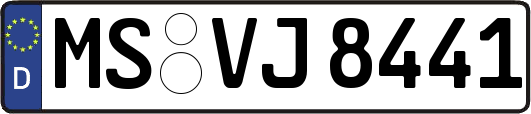 MS-VJ8441