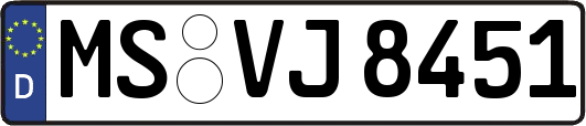 MS-VJ8451