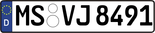MS-VJ8491