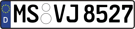 MS-VJ8527