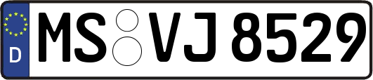 MS-VJ8529