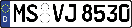 MS-VJ8530