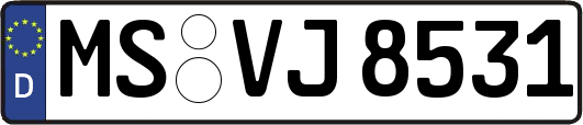 MS-VJ8531