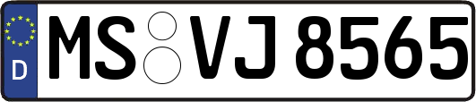 MS-VJ8565
