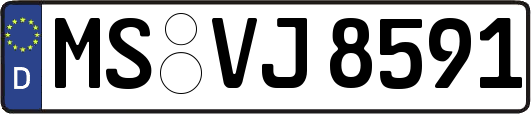 MS-VJ8591