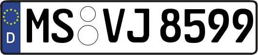 MS-VJ8599