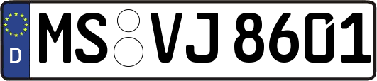 MS-VJ8601