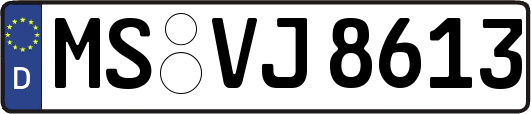 MS-VJ8613