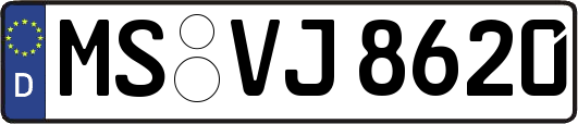 MS-VJ8620