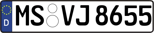 MS-VJ8655