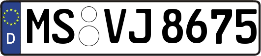 MS-VJ8675