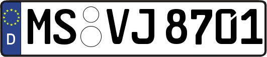 MS-VJ8701