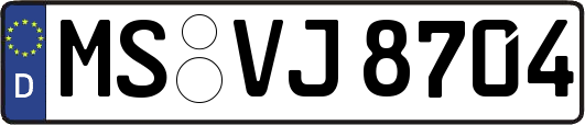 MS-VJ8704