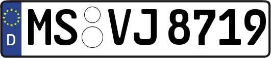 MS-VJ8719