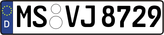 MS-VJ8729