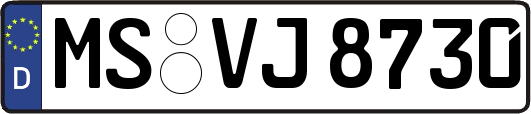 MS-VJ8730