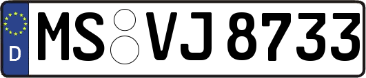 MS-VJ8733