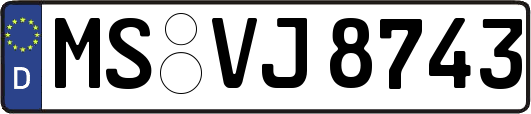 MS-VJ8743