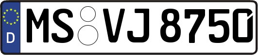 MS-VJ8750