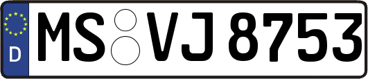 MS-VJ8753