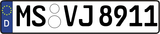 MS-VJ8911
