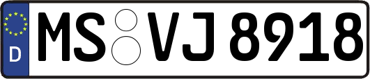 MS-VJ8918