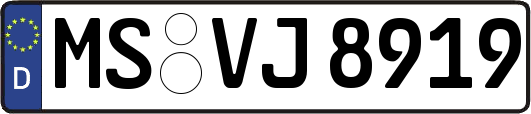 MS-VJ8919