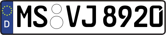 MS-VJ8920